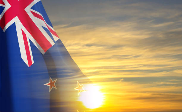 How New Zealand Prepares You for the Future Job Market