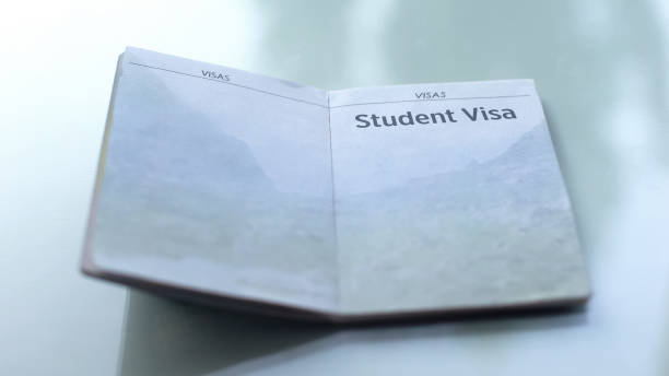 Visa Success Rate for Study Abroad: Trends, Stats & Strategy