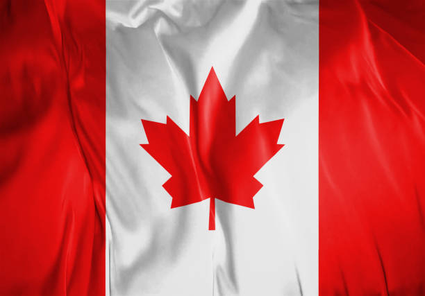 Canada Visa Success Rate in 2025.