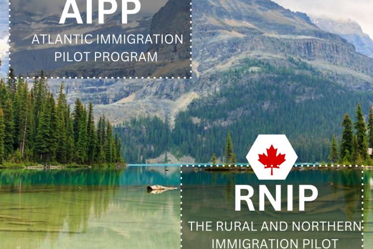AIPP and RNIP Program: Choosing the Right Immigration Path for Your Canadian Dream