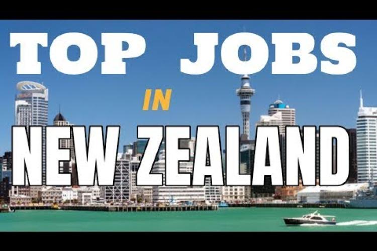 Job Opportunities in New Zealand: Jobs for Foreigners in New Zealand
