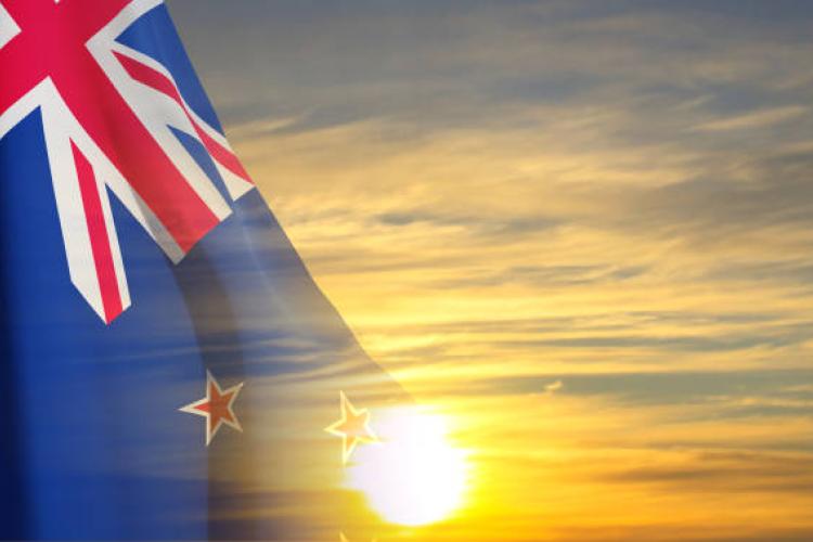 How New Zealand Prepares You for the Future Job Market