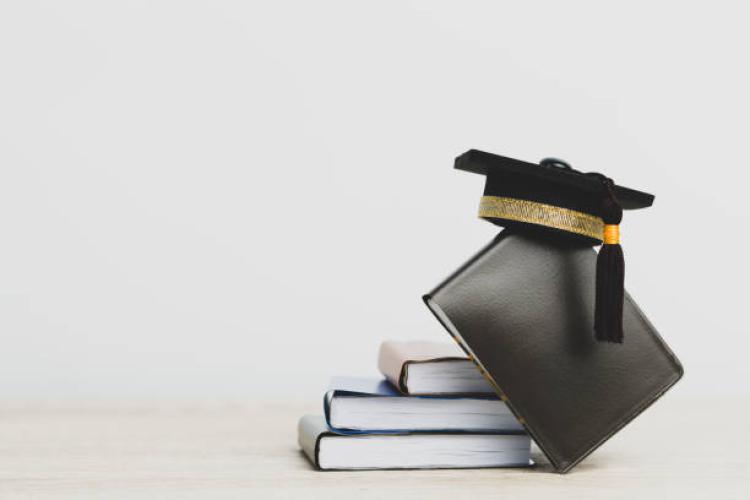 Best High-Salary MS Fields: Top Universities in Australia for MS Revealed